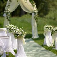Wedding Decorations