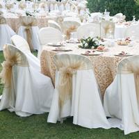 Wedding Reception Accessories