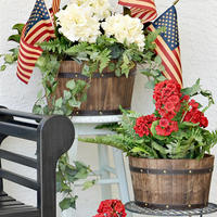 Summer Flower Shop