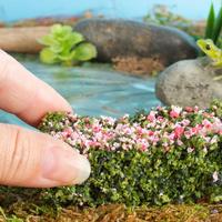 Model and Diorama Supplies