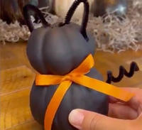 Pumpkin Cat