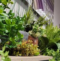 Greenery