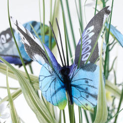 Click For More Info