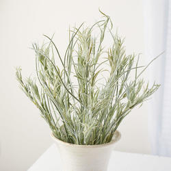 Click For More Info