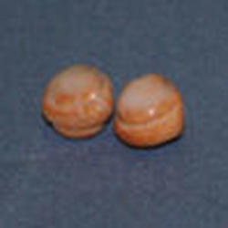 Dollhouse Miniature Cinnamon Buns