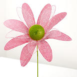 Click For More Info