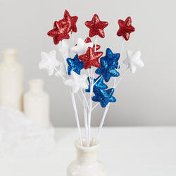 Patriotic Glitter Star Picks