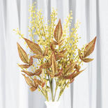 Click For More Info